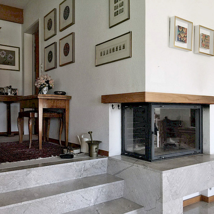 Cheminée- Sanierung